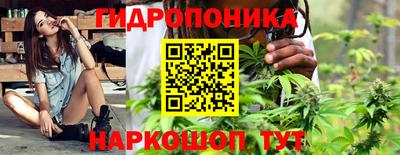 mdpv Кандалакша