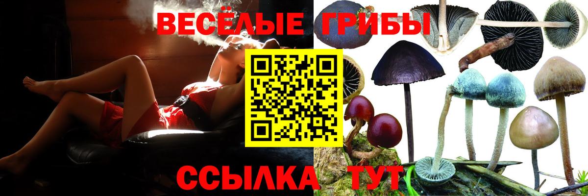 Лесной  Псилоцибиновые грибы мицелий  Псилоцибиновые грибы мицелий  Вход с VPN 
